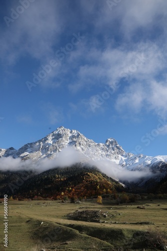 Picturesque view of high mountains with forest covered by mist and meadow under blue sky on autumn day