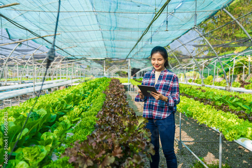 Wallpaper Mural Pretty asia female smart farmer working with organic vegetables in the vegetable greenhouse. hydroponic vegetable garden woman smart farmer concept. Torontodigital.ca