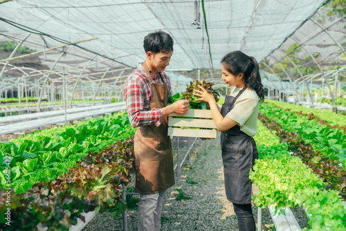 Young friends smart farmer gardening, checking quality together in the salad hydroponic garden greenhouse.