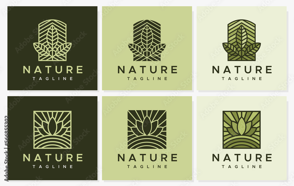 Minimalist line leaf logo design template set.