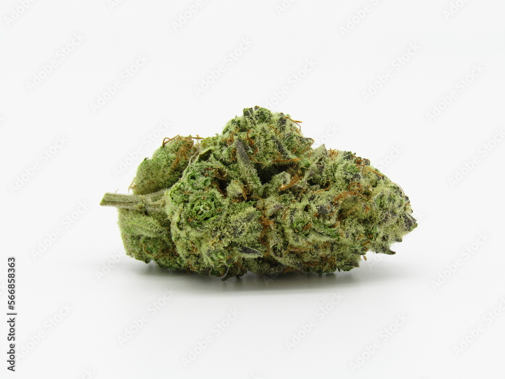 Snow Monster Cannabis Strain Marijuana Flower Snow Monster Cannabis Strain Marijuana Flower