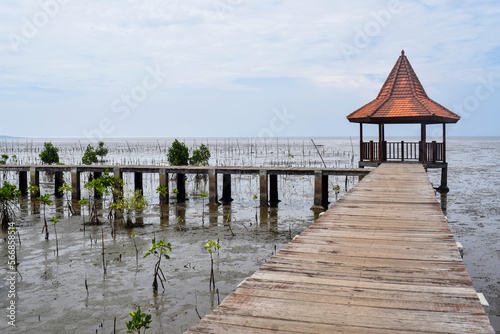 Fototapeta Naklejka Na Ścianę i Meble -  Perspective view of wooden pier on the beach. Little bridge over the water