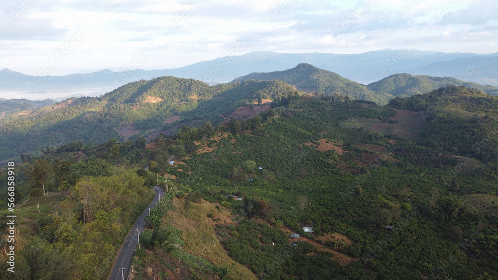 Aerial view of Doi Wawee mountain with straight road among the forest at Doi Wawee, Chiang rai, Thailand.