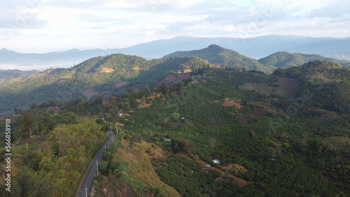 Aerial view of Doi Wawee mountain with straight road among the forest at Doi Wawee, Chiang rai, Thailand. © Pond Thananat