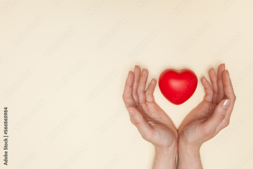 Obraz premium Health, medicine and charity concept - close up of female hands with small red heart.