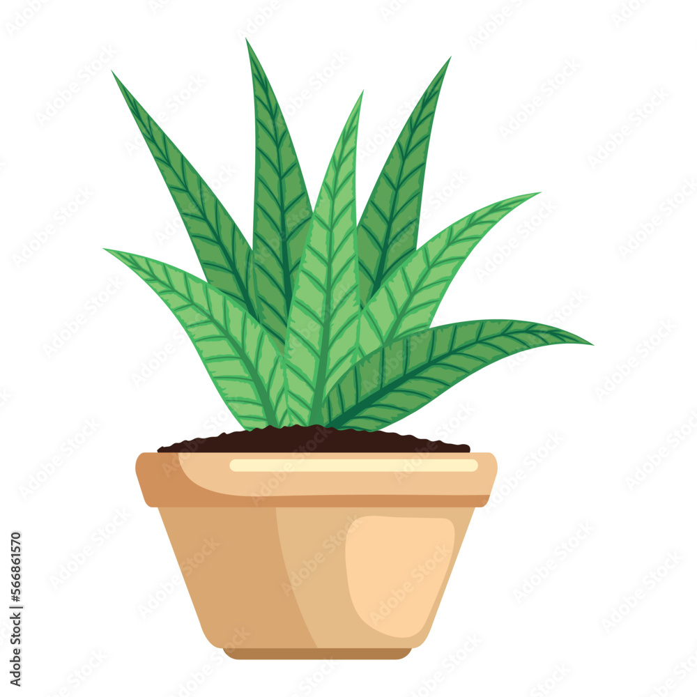 houseplant in beige pot