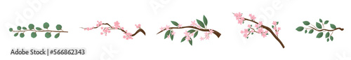 Set of spring tree branches with pink flowers and green leaves on white background