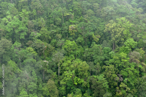 Vista aérea de la selva de Chiapas y su selva tropical lluviosa