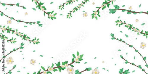 Frame made of spring tree branches on white background