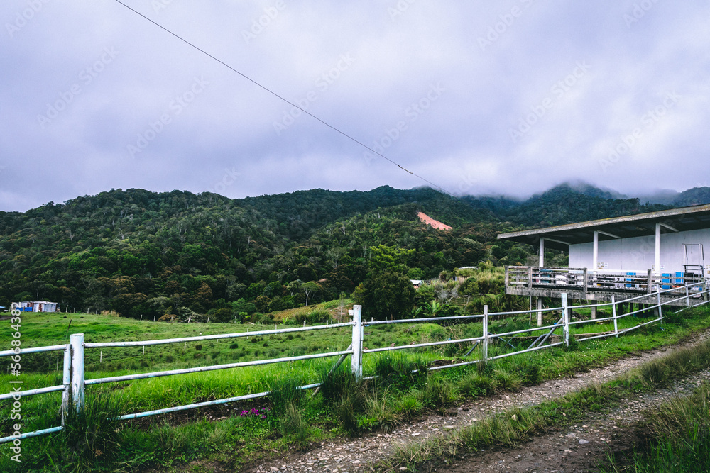 Fototapeta premium mountain village in the mountains