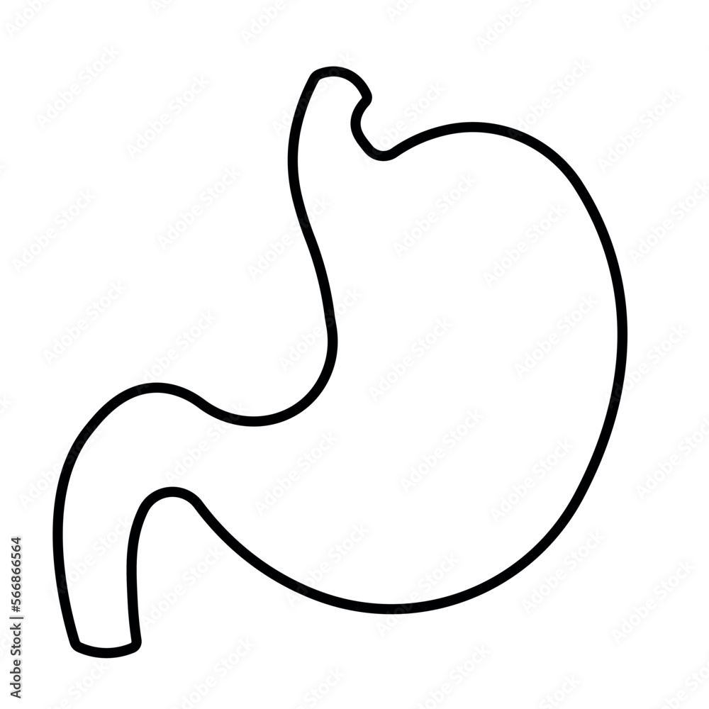 Black Line Stomach Icon for Human Anatomy Organ Symbol Vector Illustration Black Line Stomach Icon for Human Anatomy Organ Symbol Vector Illustration