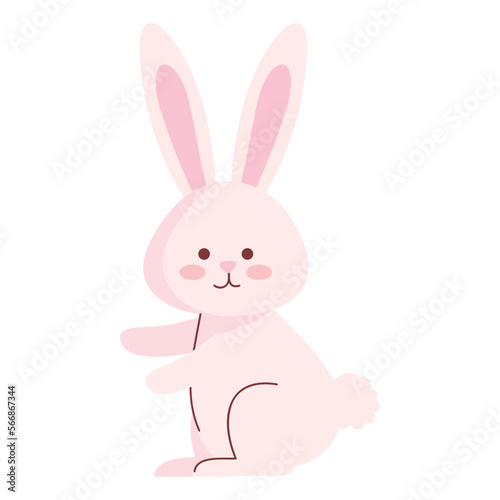 cute rabbit pink seated