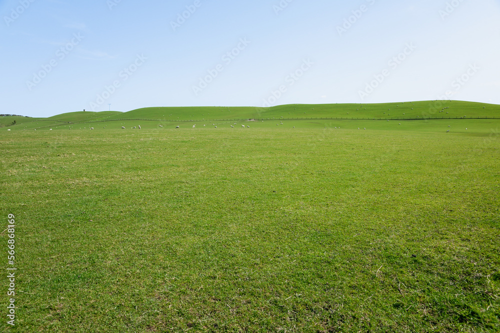Rural background wide green field under blue sky Rural background wide green field under blue sky