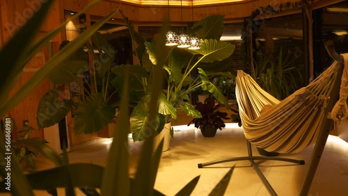 Lushly growing potted houseplants and relaxing evening ambience of indoor jungle. Beautiful exotic flowers with bold greenery thriving at home. Gorgeous plants illuminated by elegant ceiling lights. photo