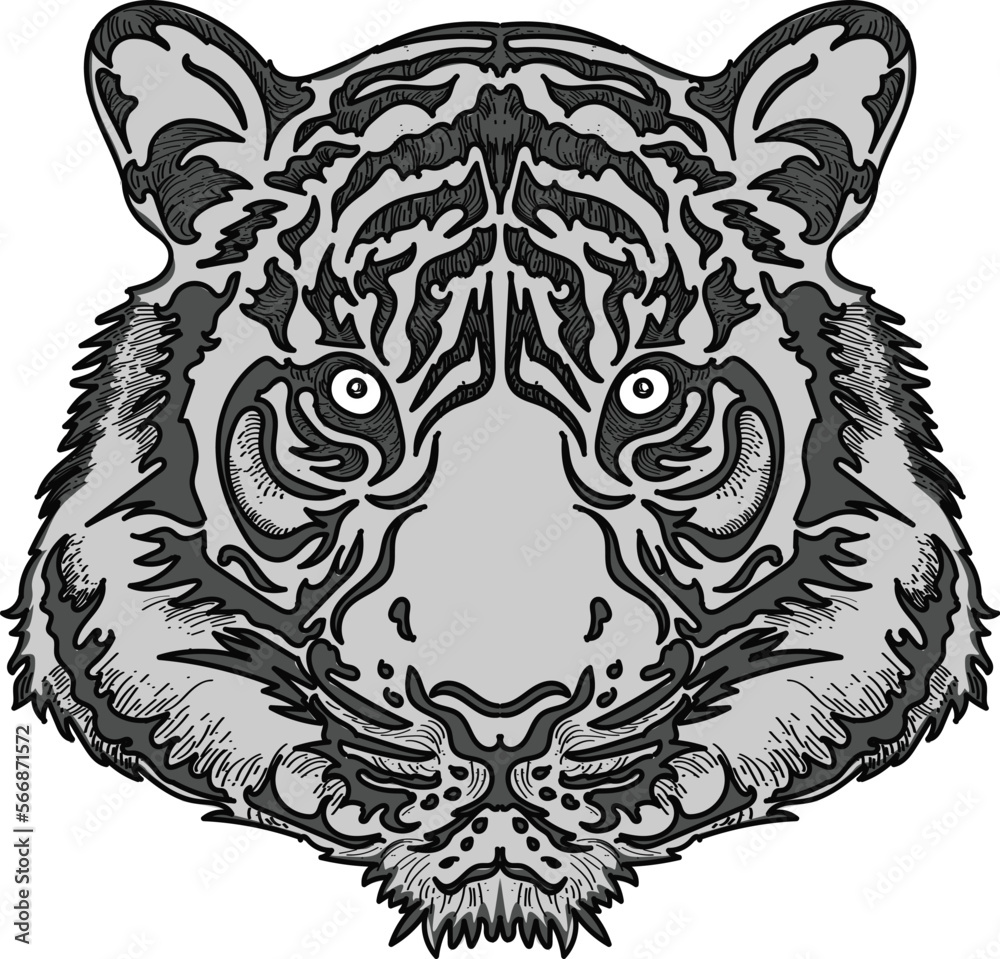 Fototapeta premium grey tiger head vector illustration