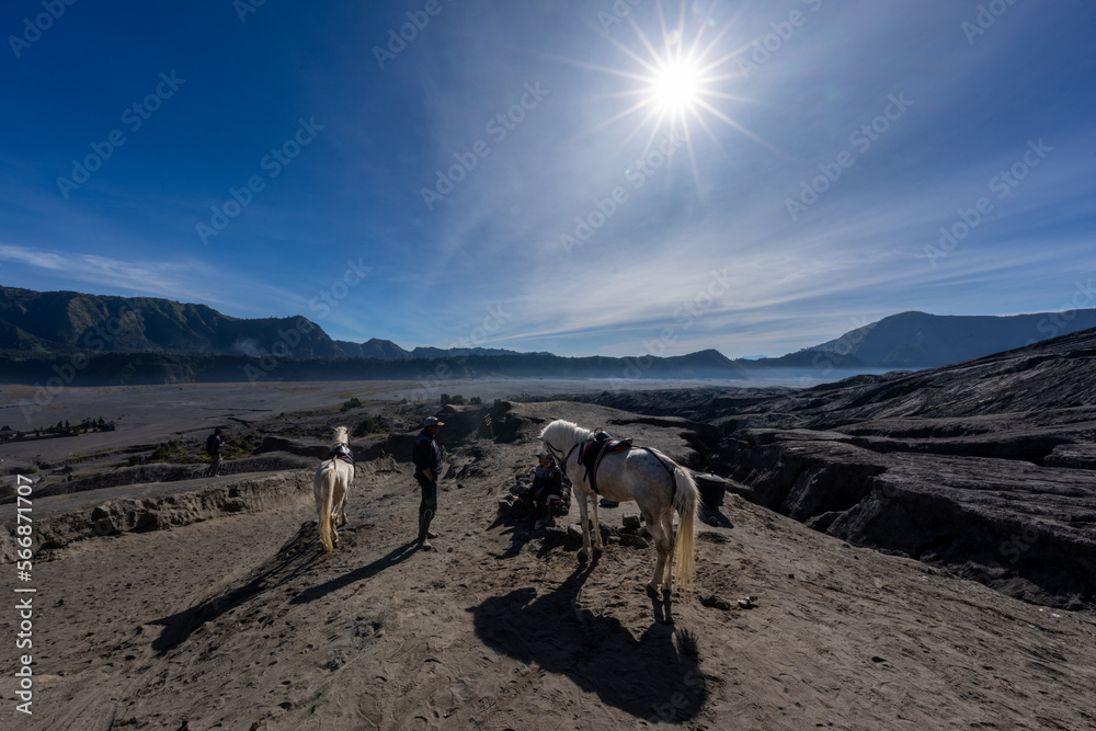 View from Mt Bromo with Horses