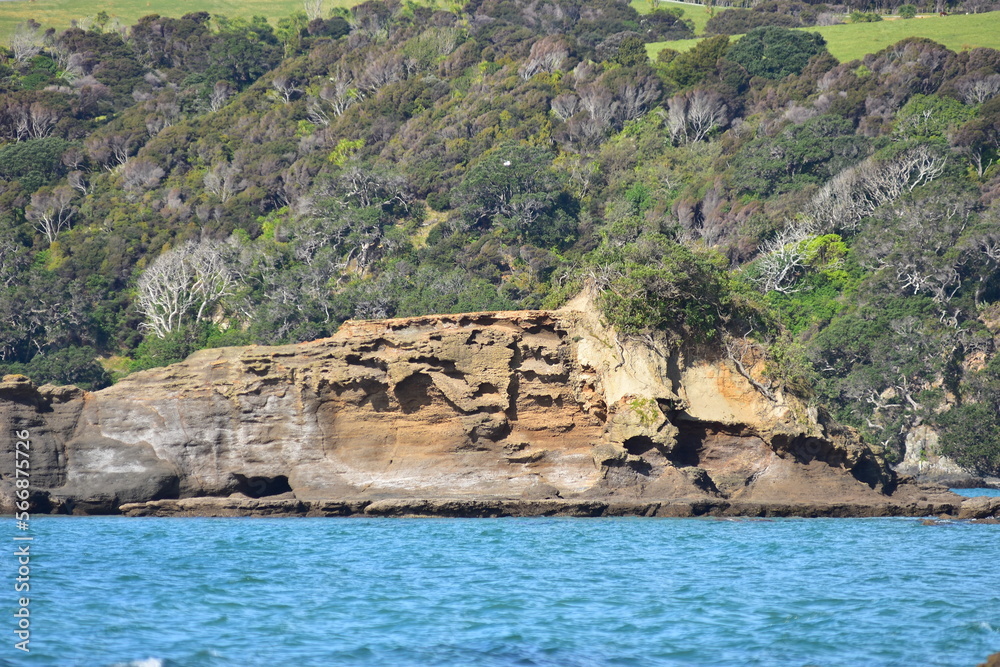 Eroded Coastal Rocks Of Tawharanui Peninsula. Location: Tawharanui Peninsula New Zealand