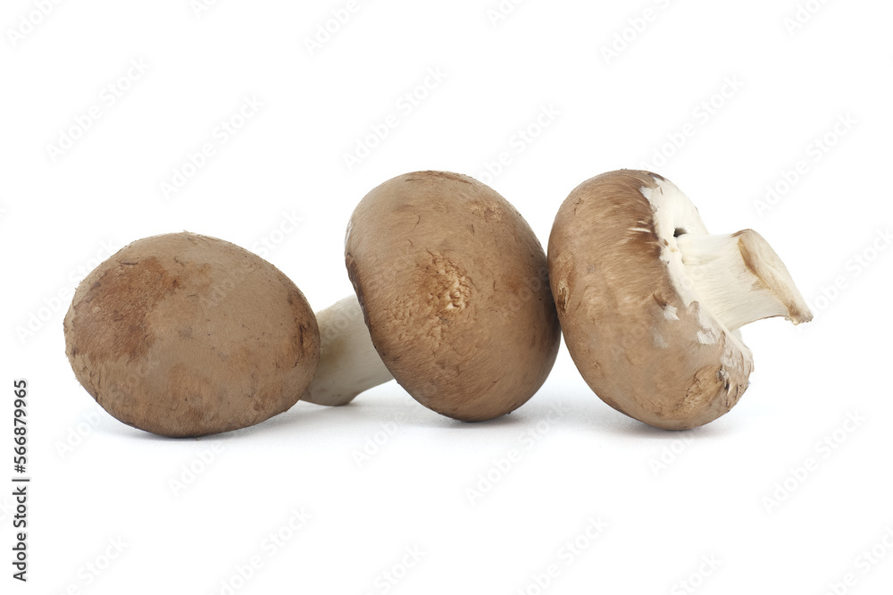 Cremini whole mushrooms isolated on white Cremini whole mushrooms isolated on white