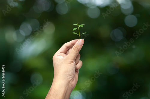 hand holding green leaf on a blurred nature background, earth day concept