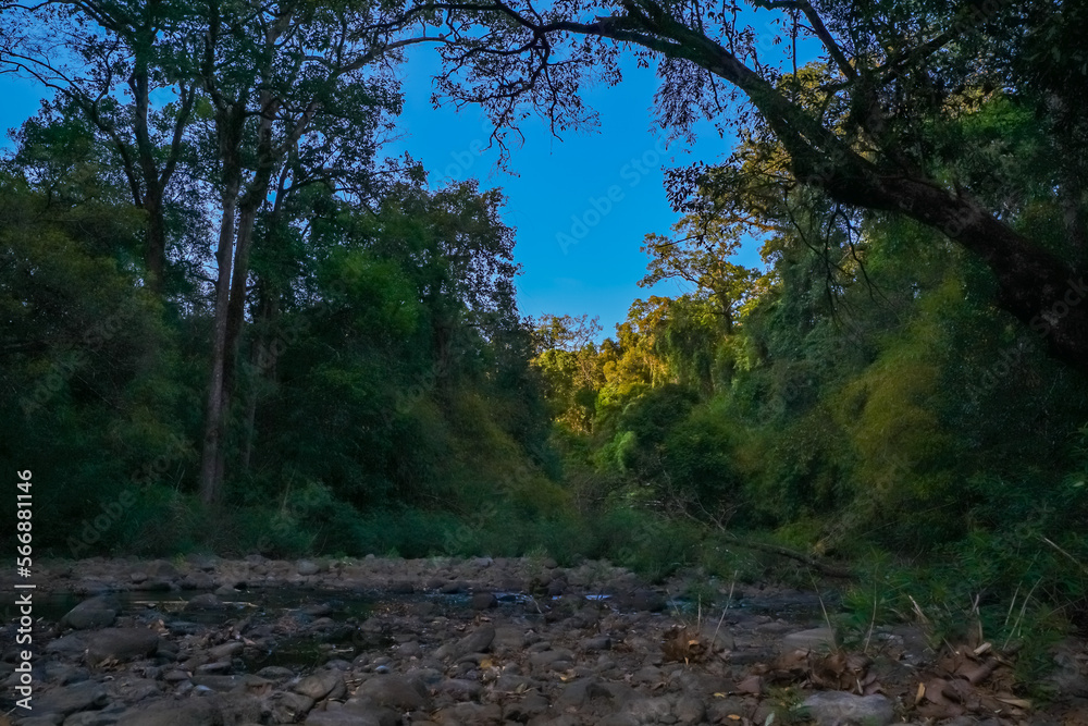 Bu Gia Map national park in Binh Phuoc province, Vietnam, one of the favorite adventure forest trekking sites Bu Gia Map national park in Binh Phuoc province, Vietnam, one of the favorite adventure forest trekking sites