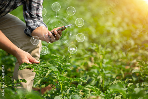 Hands of farmer, Agriculture technology farmer man using tablet Modern technology concept agriculture.