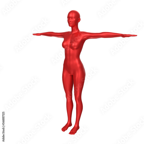 Female basemesh isolated on background photo