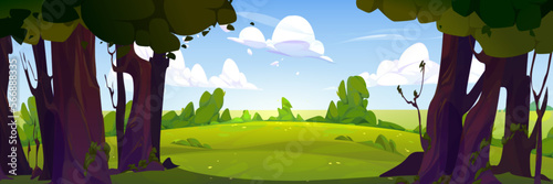 Summer forest landscape with green trees, bushes, grass. Nature park scenery, countryside panorama with trees and meadows on sunny day, blue sky with white clouds vector cartoon illustration