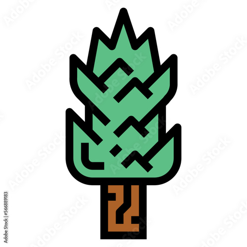 juniper filled outline icon style