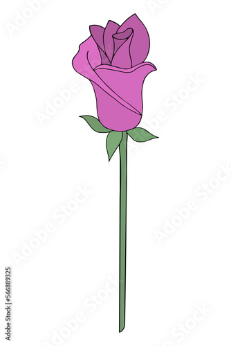 Closed pink rose bud. Flower on a long stem. Fragrant plant. Color vector illustration. Cartoon style. Isolated background. Idea for web design.