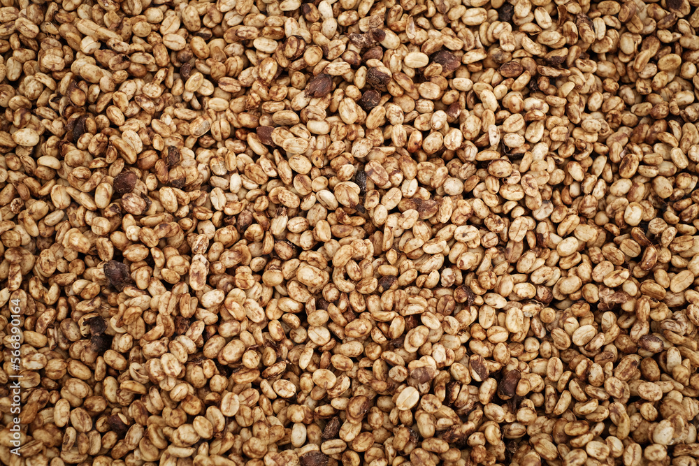 Coffee Processing ,Natural Dry Process ,Pulped-natural, Semi-dry Process ,Honey Process, Cherry coffee beans, yellow coffee ripeness dry . 