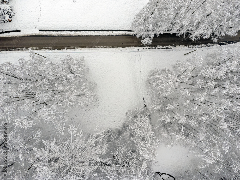Aerial view landscape. Winter, snow, path, trees, forest.