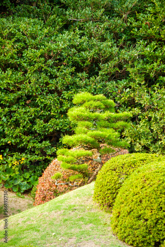日本庭園イメージ