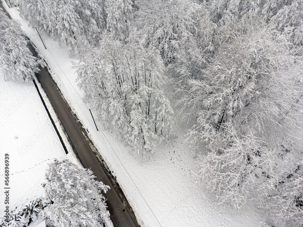 Aerial view landscape. Winter, snow, path, trees, forest.