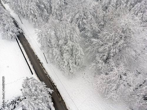 Obraz na płótnie Aerial view landscape. Winter, snow, path, trees, forest. w salonie