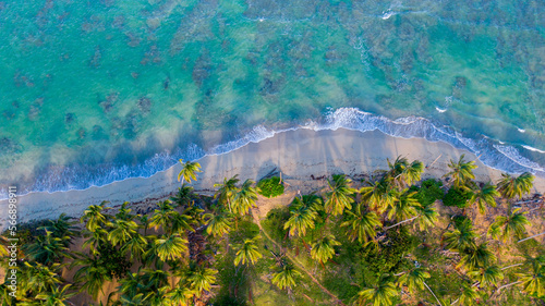 landscape of Punta Cana Beach, cortecito, macao, etc. Dominican Republic. photo