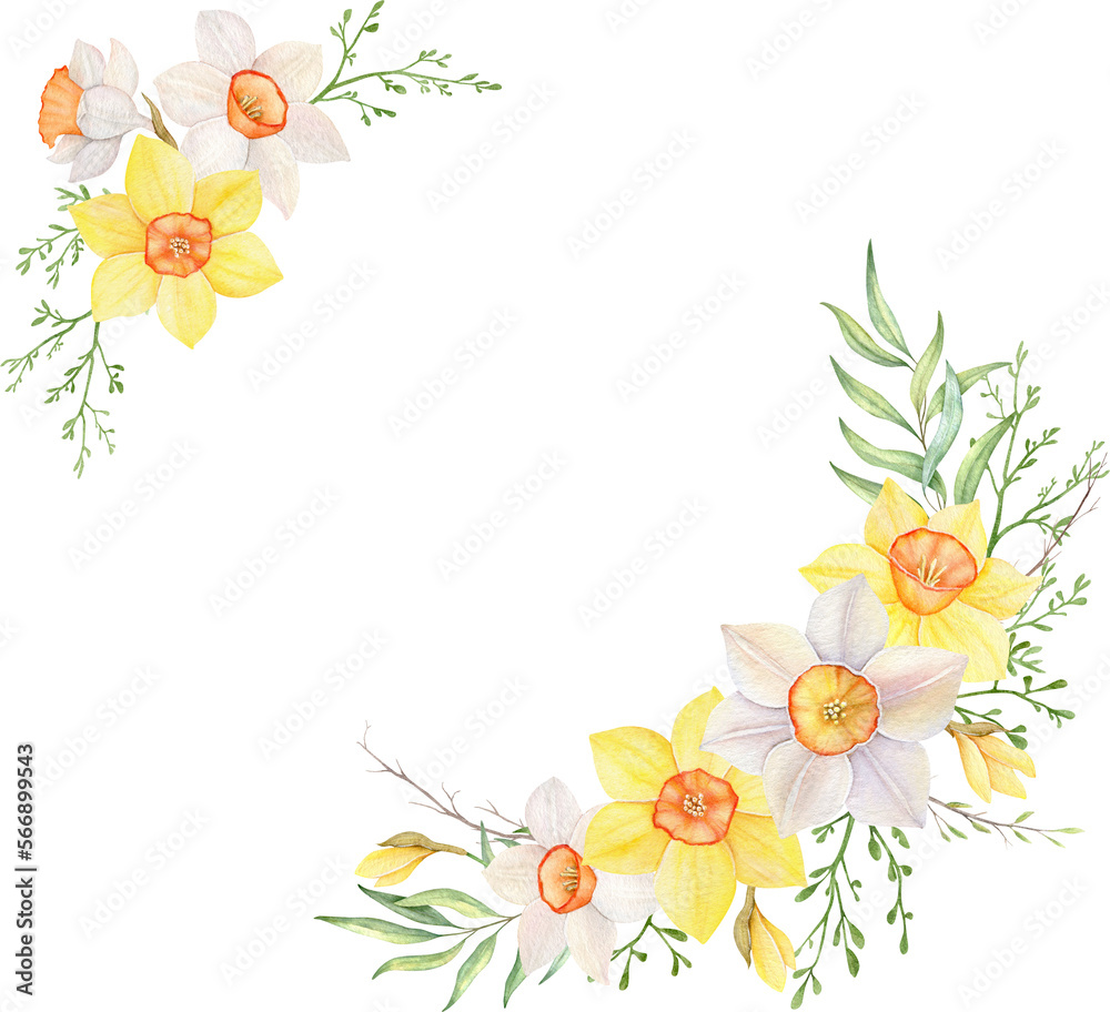 Watercolor wreath of yellow and white daffodils. Hand painted  frame illustration with spring flowers isolated png