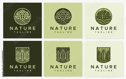 Line garden plant leaf logo design template set