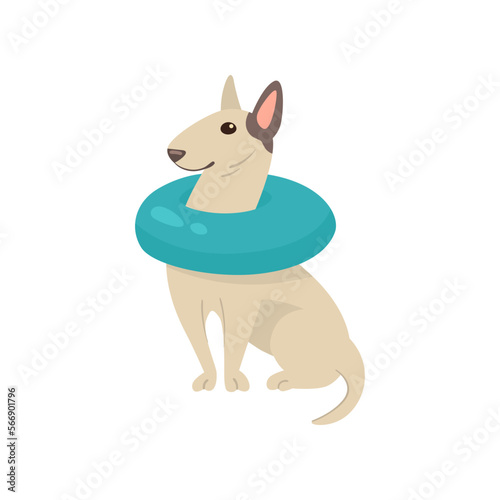 Funny comic bull terrier dog with inflatable ring illustration. Portrait of cute puppy cartoon character with accessory isolated on white background. Summer, vacation, pets concept