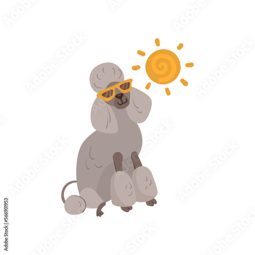 Funny comic poodle dog in sunglasses vector illustration. Portrait of cute puppy cartoon character in glasses isolated on white background. Summer, vacation, pets concept