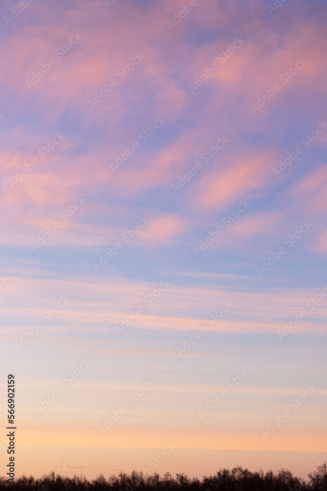 Sunset sky with pink and gray clouds