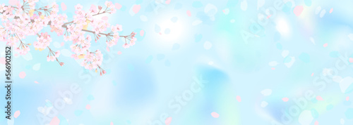 桜の枝と明るい青い空
