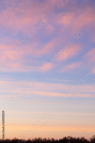 Sunset sky with pink and gray clouds