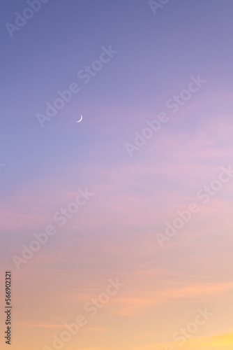 Wallpaper Mural Sunset sky with pink and gray clouds Torontodigital.ca