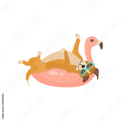 Funny comic boxer dog on inflatable ring illustration. Portrait of cute puppy cartoon character with accessory isolated on white background. Summer, vacation, pets concept