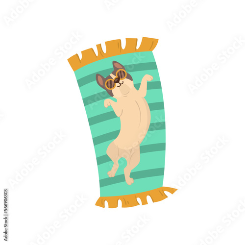 Funny comic boston terrier dog lying vector illustration. Portrait of cute puppy cartoon character on beach mat isolated on white background. Summer, vacation, pets concept