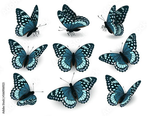 Set of blue butterflies flying in different directions. Collection of butterflies on a white background. Butterflies side and top view.