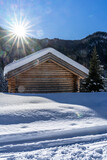 Baite alpine e chalet in mezzo alla neve in un panorama montano e con bosco