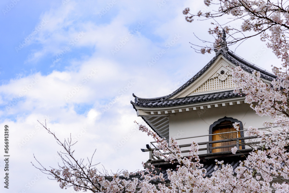 白石城と桜
