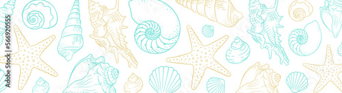 Summer time horizontal banner background. Hand drawn sea shells and stars collection. Marine illustration of ocean shellfish