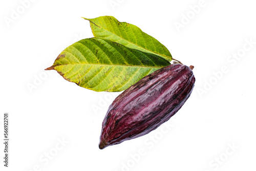 Wallpaper Mural purple cocoa pod and leaves on white background. Torontodigital.ca